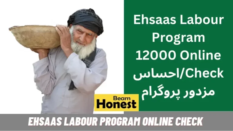 Good News How to Register for Ehsaas Labour Program 2025